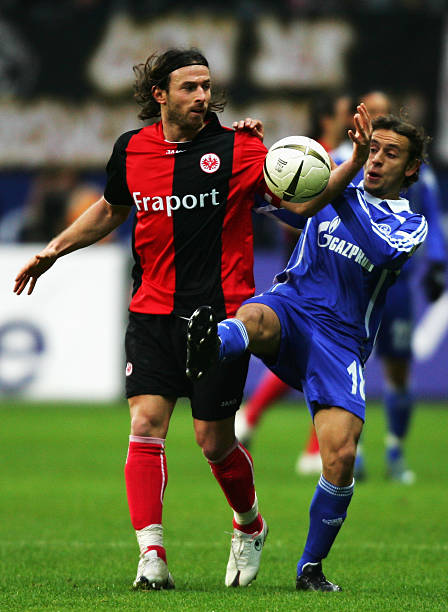 以往类似案 以往类似案